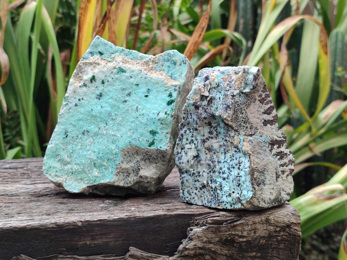 Natural Drusy Coated Chrysocolla with Malachite and Dendritic Psilomelane Specimens x 3 From Likasi, Congo - Toprock Gemstones and Minerals 