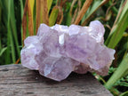 Natural Jacaranda Amethyst Clusters x 3 From Mumbwa, Zambia - Toprock Gemstones and Minerals 