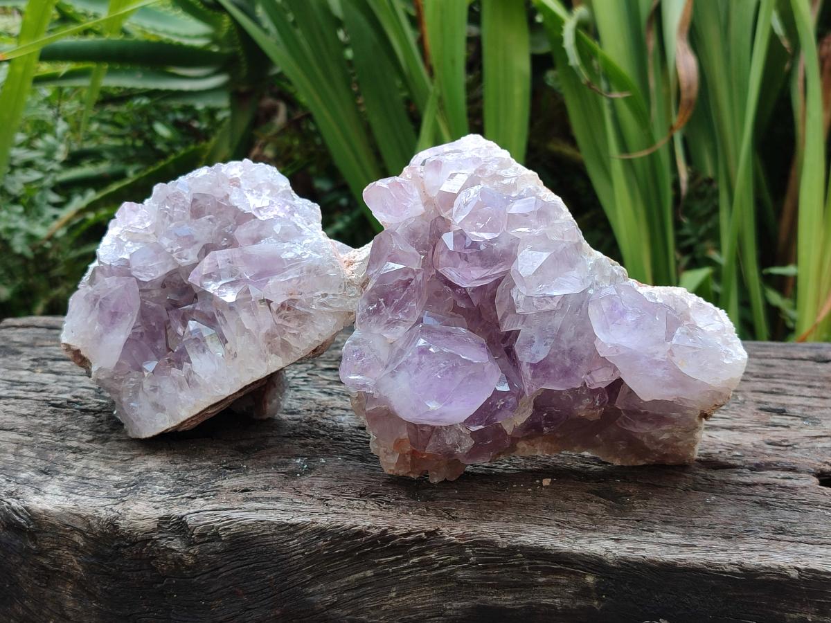 Natural Jacaranda Amethyst Clusters x 3 From Mumbwa, Zambia - Toprock Gemstones and Minerals 