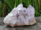 Natural Jacaranda Amethyst Clusters x 3 From Mumbwa, Zambia - Toprock Gemstones and Minerals 