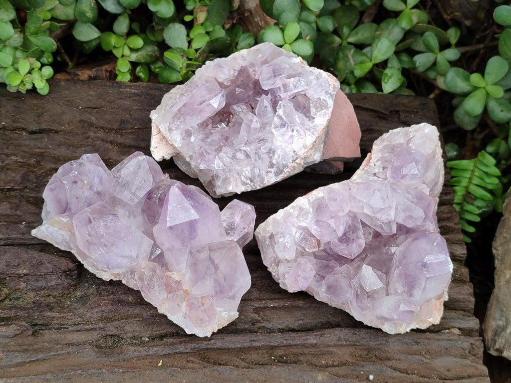 Natural Jacaranda Amethyst Clusters x 3 From Mumbwa, Zambia - Toprock Gemstones and Minerals 