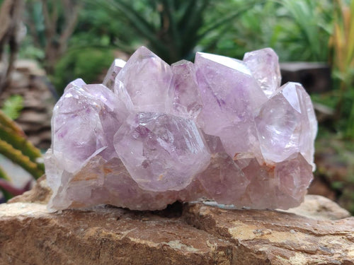 Natural Jacaranda Amethyst Clusters x 3 From Mumbwa, Zambia - Toprock Gemstones and Minerals 
