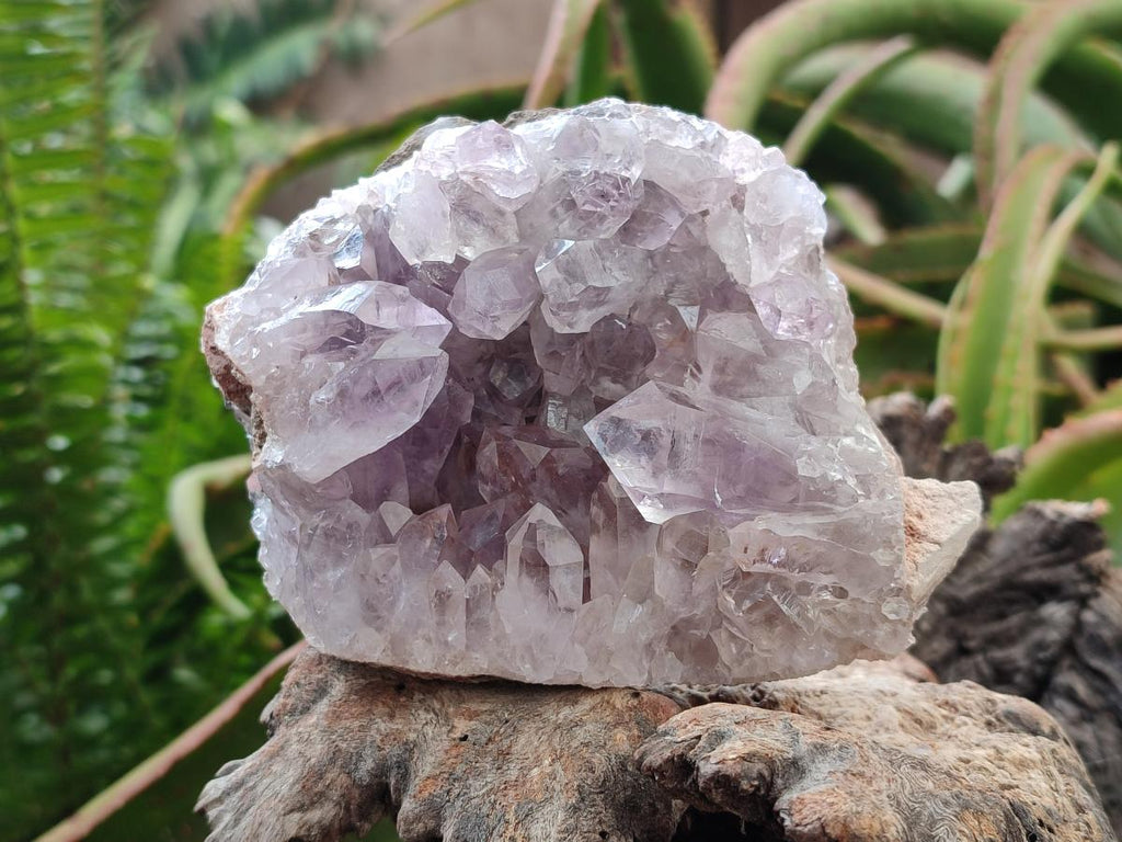 Natural Jacaranda Amethyst Clusters x 3 From Mumbwa, Zambia - Toprock Gemstones and Minerals 
