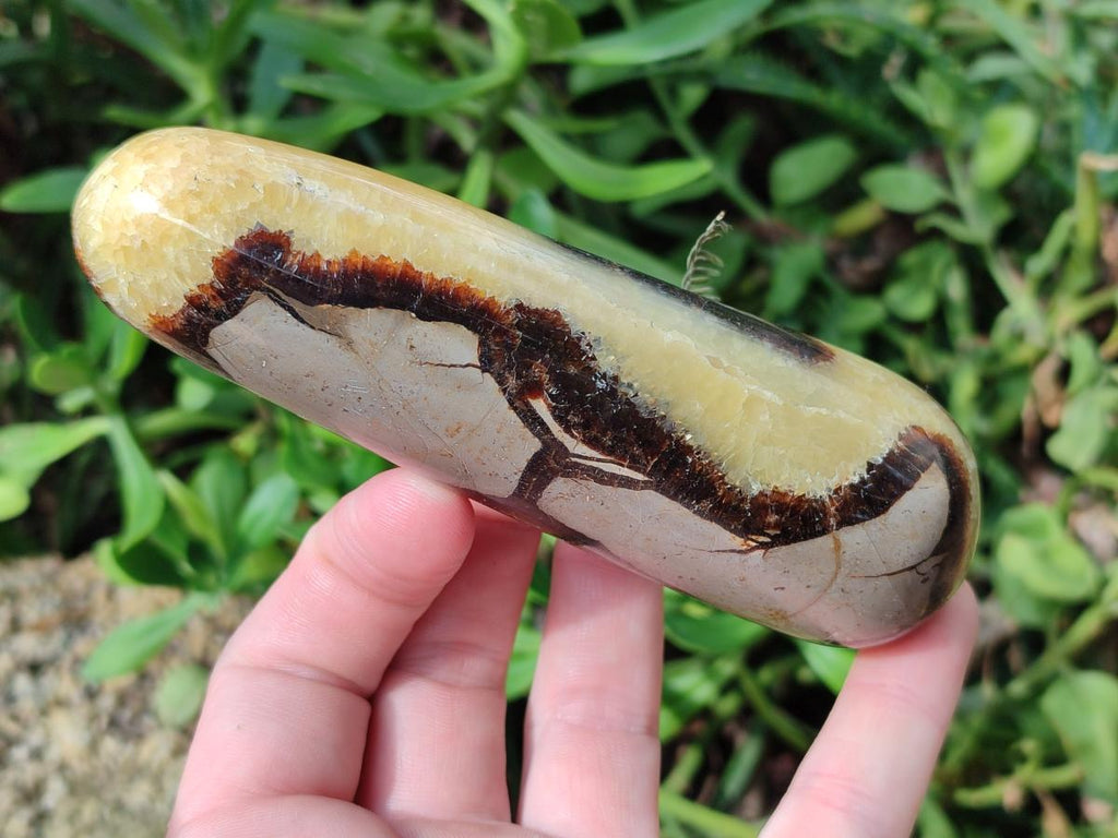 Polished Septerye Massage Wands x 6 From Mahajanga, Madagascar - Toprock Gemstones and Minerals 