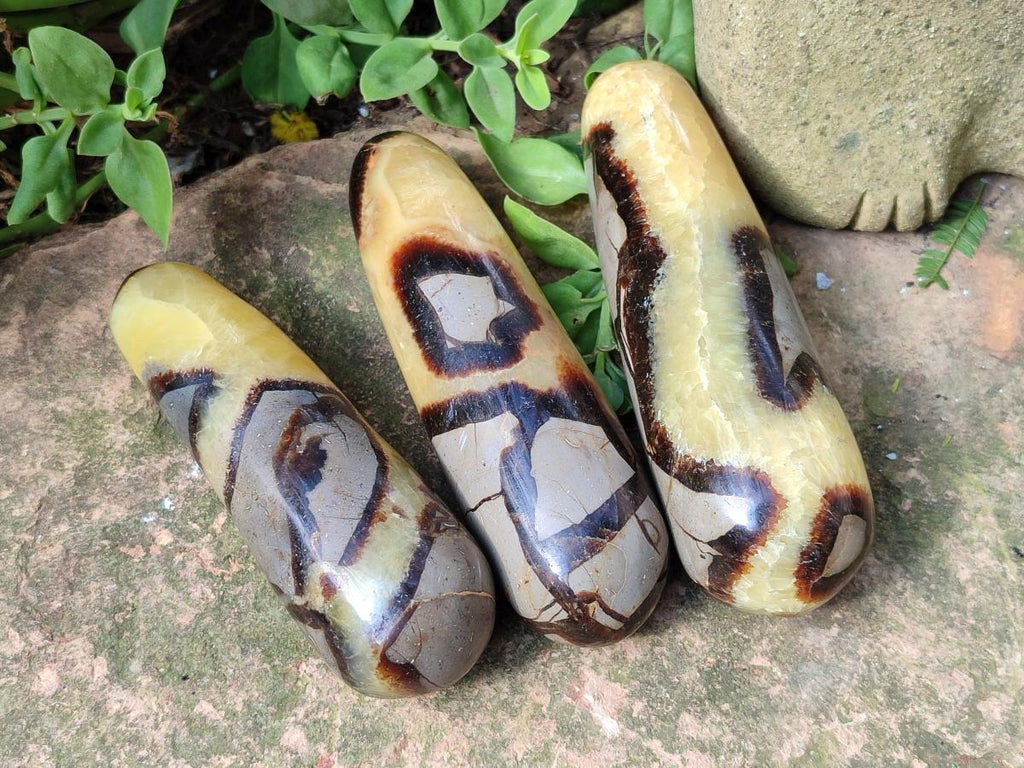 Polished Septerye Massage Wands x 6 From Mahajanga, Madagascar - Toprock Gemstones and Minerals 