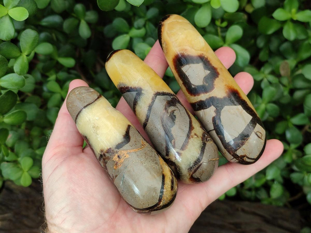 Polished Septerye Massage Wands x 6 From Mahajanga, Madagascar - Toprock Gemstones and Minerals 