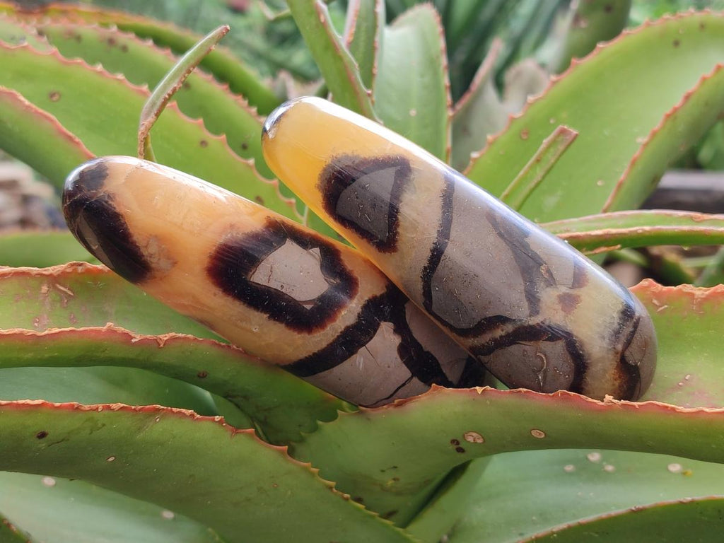 Polished Septerye Massage Wands x 6 From Mahajanga, Madagascar - Toprock Gemstones and Minerals 