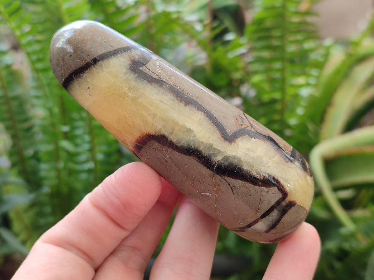 Polished Septerye Massage Wands x 6 From Mahajanga, Madagascar - Toprock Gemstones and Minerals 