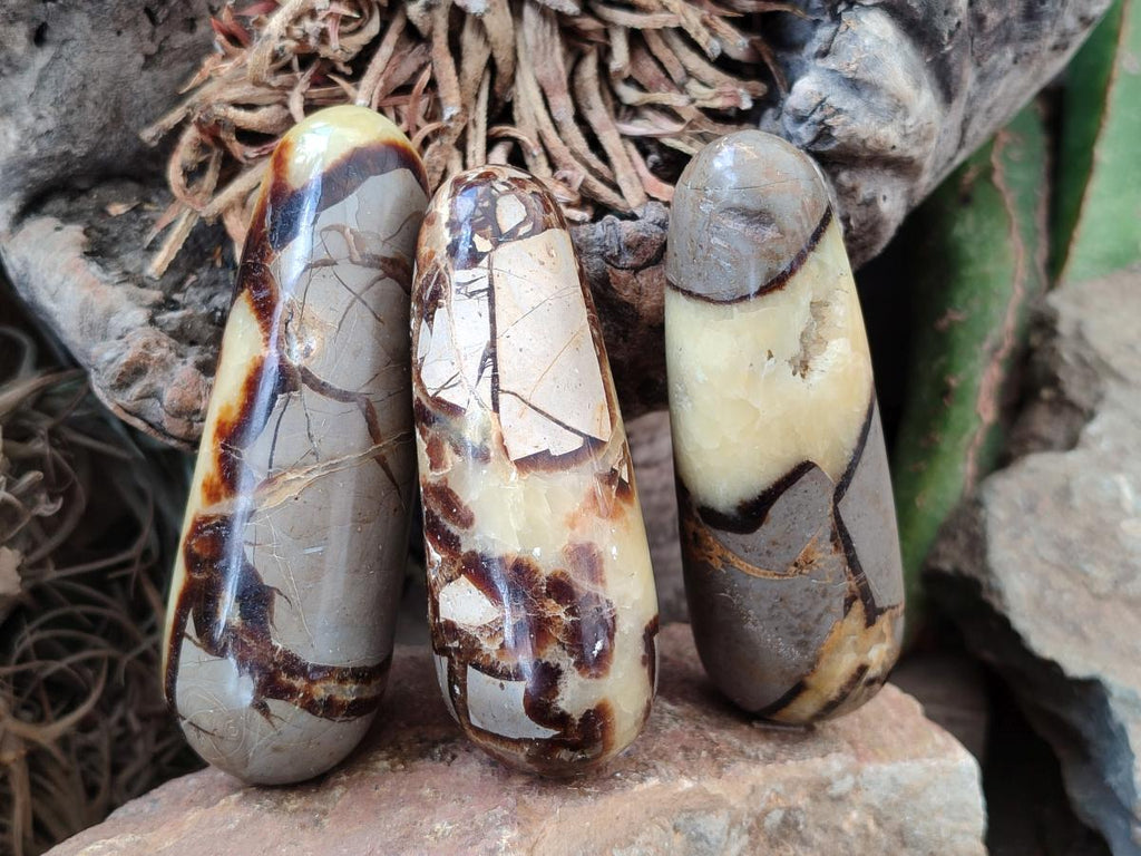 Polished Septerye Massage Wands x 6 From Mahajanga, Madagascar - Toprock Gemstones and Minerals 