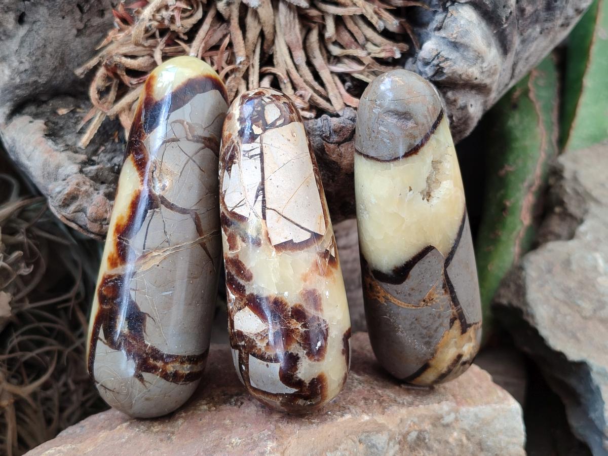 Polished Septerye Massage Wands x 6 From Mahajanga, Madagascar - Toprock Gemstones and Minerals 