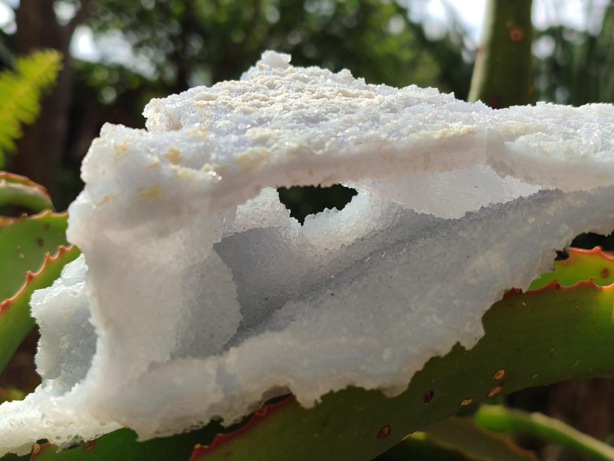 Natural Etched Blue Chalcedony Geodes x 2 From Nsanje, Malawi - Toprock Gemstones and Minerals 
