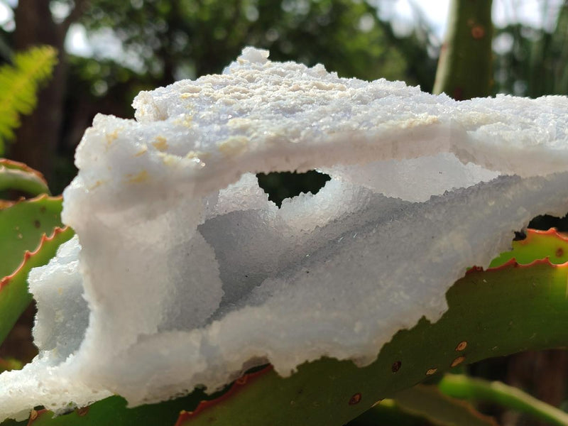 Natural Etched Blue Chalcedony Geodes x 2 From Nsanje, Malawi - Toprock Gemstones and Minerals 