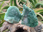 Natural Swazi Jade Cobbed Specimens x 12 From Swaziland - Toprock Gemstones and Minerals 