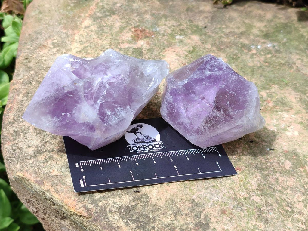 Natural Jacaranda Amethyst Single Crystals x 12 From Mumbwa, Zambia - Toprock Gemstones and Minerals 
