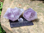 Natural Jacaranda Amethyst Single Crystals x 12 From Mumbwa, Zambia - Toprock Gemstones and Minerals 