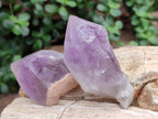 Natural Jacaranda Amethyst Single Crystals x 12 From Mumbwa, Zambia - Toprock Gemstones and Minerals 