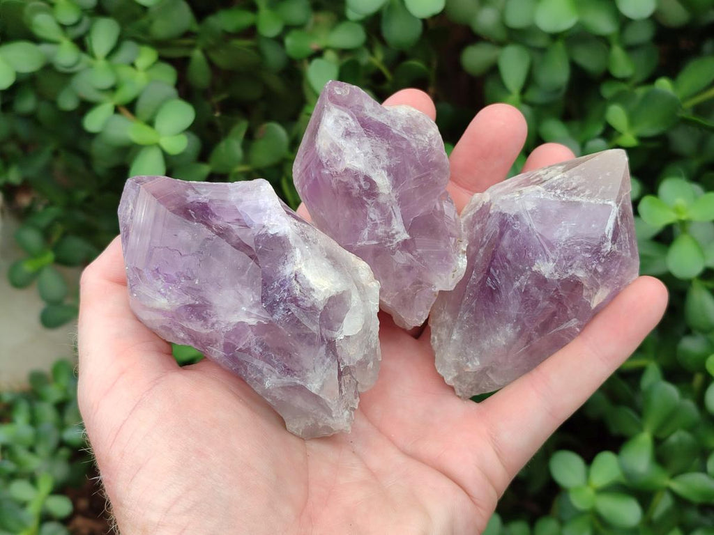 Natural Jacaranda Amethyst Single Crystals x 12 From Mumbwa, Zambia - Toprock Gemstones and Minerals 