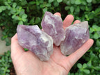 Natural Jacaranda Amethyst Single Crystals x 12 From Mumbwa, Zambia - Toprock Gemstones and Minerals 