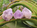 Natural Jacaranda Amethyst Single Crystals x 12 From Mumbwa, Zambia - Toprock Gemstones and Minerals 