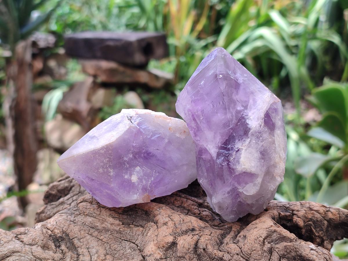 Natural Jacaranda Amethyst Single Crystals x 12 From Mumbwa, Zambia - Toprock Gemstones and Minerals 