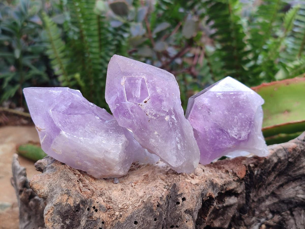 Natural Jacaranda Amethyst Single Crystals x 12 From Mumbwa, Zambia - Toprock Gemstones and Minerals 