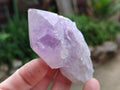 Natural Jacaranda Amethyst Single Crystals x 12 From Mumbwa, Zambia - Toprock Gemstones and Minerals 