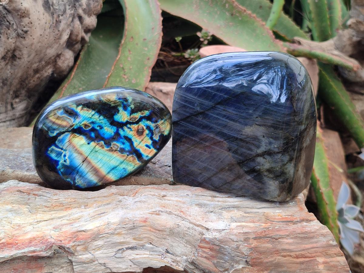 Polished Labradorite Standing Free Forms x 2 From Madagascar - Toprock Gemstones and Minerals 