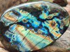Polished Labradorite Standing Free Forms x 2 From Madagascar - Toprock Gemstones and Minerals 