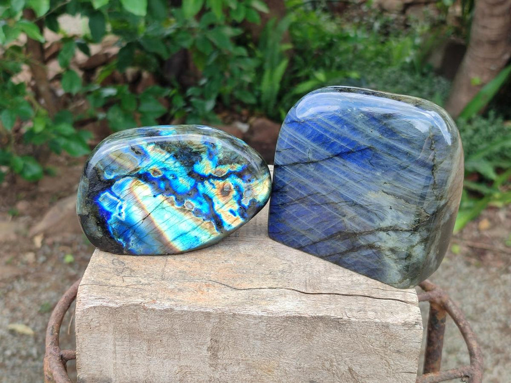 Polished Labradorite Standing Free Forms x 2 From Madagascar - Toprock Gemstones and Minerals 