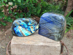 Polished Labradorite Standing Free Forms x 2 From Madagascar - Toprock Gemstones and Minerals 
