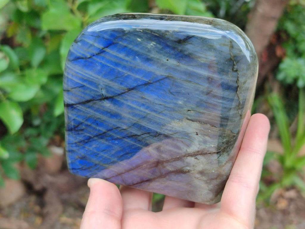Polished Labradorite Standing Free Forms x 2 From Madagascar - Toprock Gemstones and Minerals 