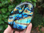 Polished Labradorite Standing Free Forms x 2 From Madagascar - Toprock Gemstones and Minerals 