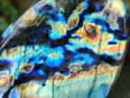 Polished Labradorite Standing Free Forms x 2 From Madagascar - Toprock Gemstones and Minerals 