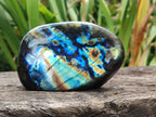 Polished Labradorite Standing Free Forms x 2 From Madagascar - Toprock Gemstones and Minerals 