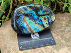 Polished Labradorite Standing Free Forms x 2 From Madagascar - Toprock Gemstones and Minerals 
