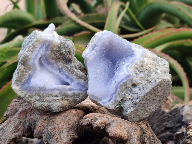 Natural Blue Lace Agate Geode Specimens x 6 From Nsanje, Malawi - Toprock Gemstones and Minerals 