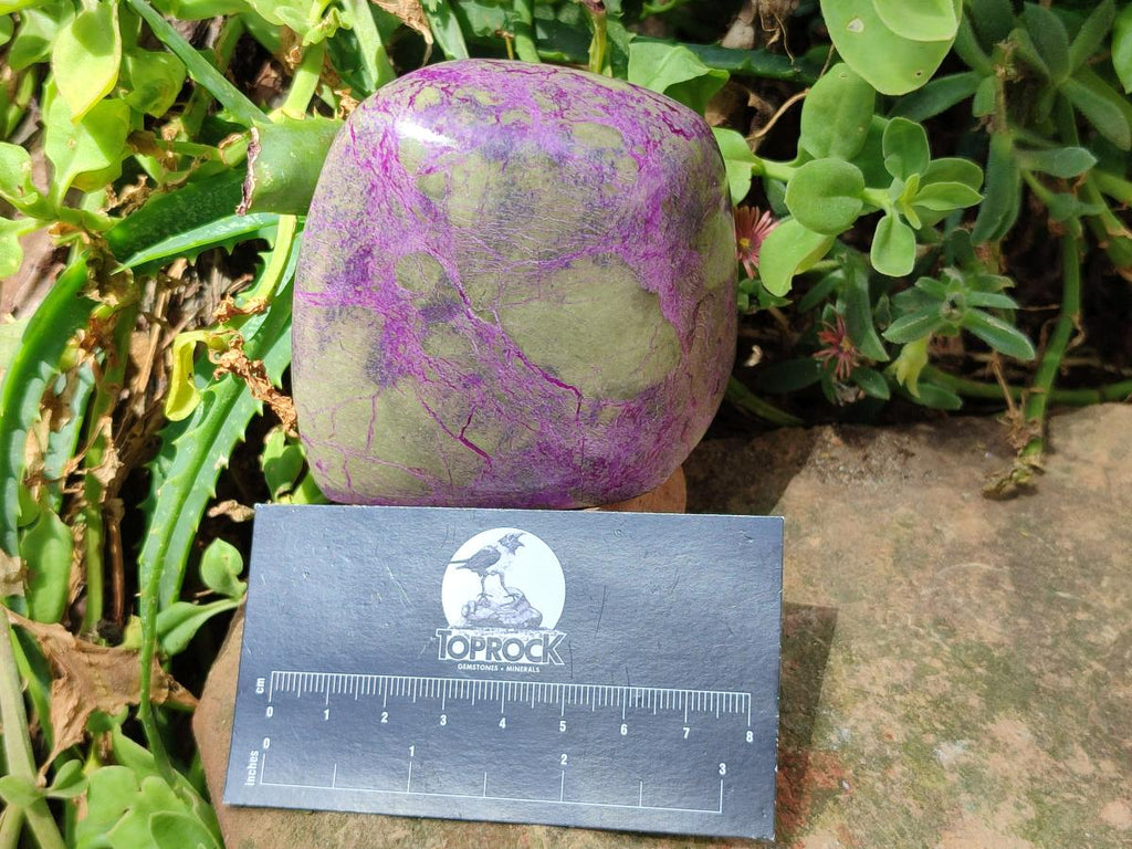 Polished Stichtite Standing Free Forms x 3 From Barberton, South Africa - Toprock Gemstones and Minerals 