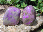 Polished Stichtite Standing Free Forms x 3 From Barberton, South Africa - Toprock Gemstones and Minerals 
