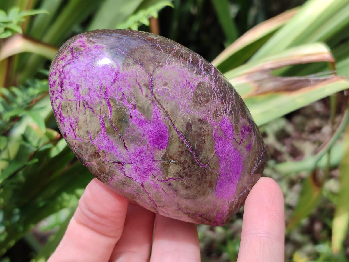 Polished Stichtite Standing Free Forms x 3 From Barberton, South Africa - Toprock Gemstones and Minerals 