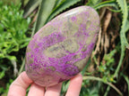 Polished Stichtite Standing Free Forms x 3 From Barberton, South Africa - Toprock Gemstones and Minerals 
