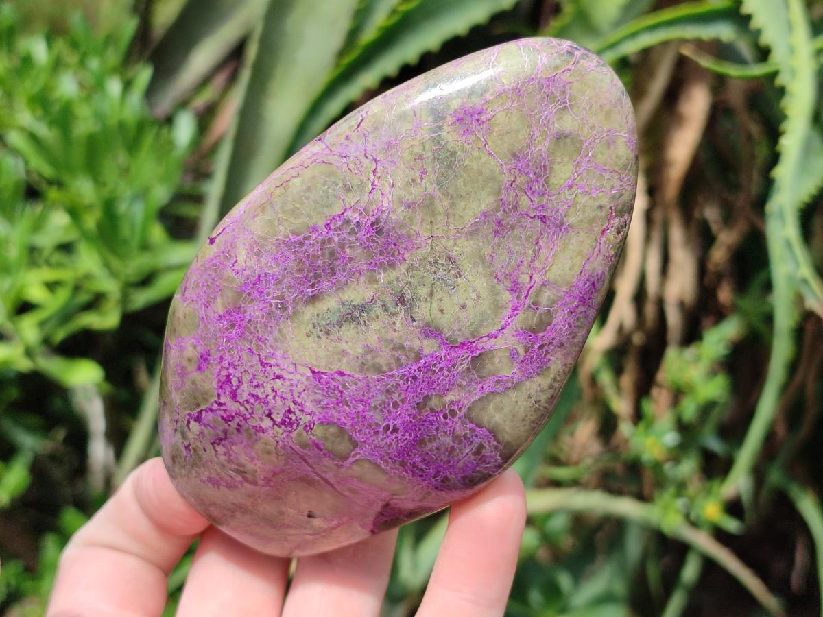 Polished Stichtite Standing Free Forms x 3 From Barberton, South Africa - Toprock Gemstones and Minerals 