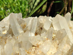 Natural Large Malagasy Quartz Crystal Cluster x 1 From Madagascar - Toprock Gemstones and Minerals 
