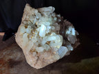 Natural Large Malagasy Quartz Crystal Cluster x 1 From Madagascar - Toprock Gemstones and Minerals 