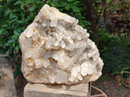 Natural Large Malagasy Quartz Crystal Cluster x 1 From Madagascar - Toprock Gemstones and Minerals 