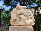 Natural Large Malagasy Quartz Crystal Cluster x 1 From Madagascar - Toprock Gemstones and Minerals 
