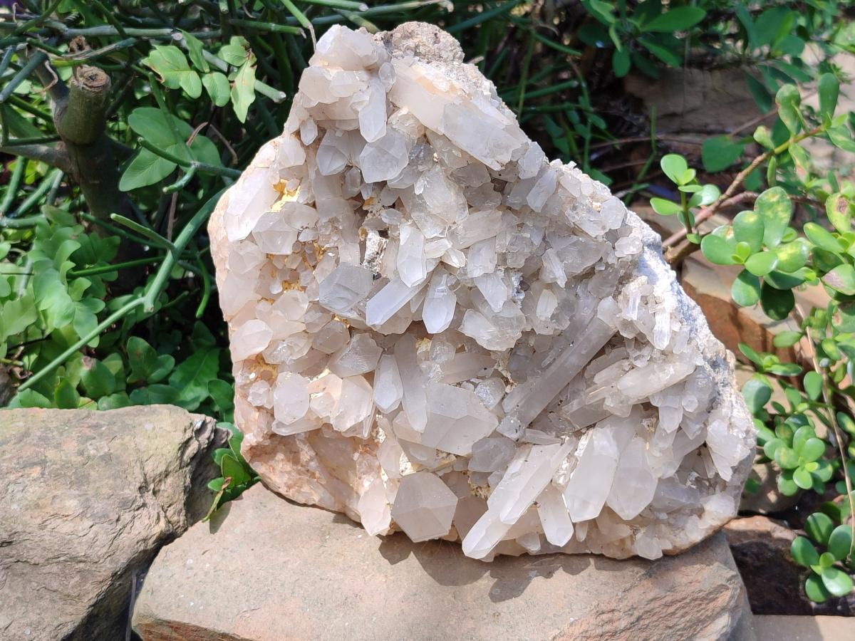 Natural Large Malagasy Quartz Crystal Cluster x 1 From Madagascar - Toprock Gemstones and Minerals 