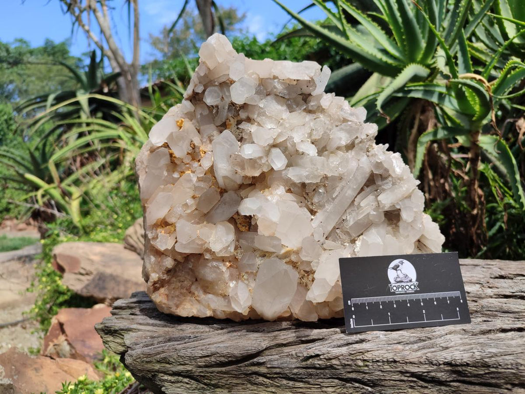 Natural Large Malagasy Quartz Crystal Cluster x 1 From Madagascar - Toprock Gemstones and Minerals 