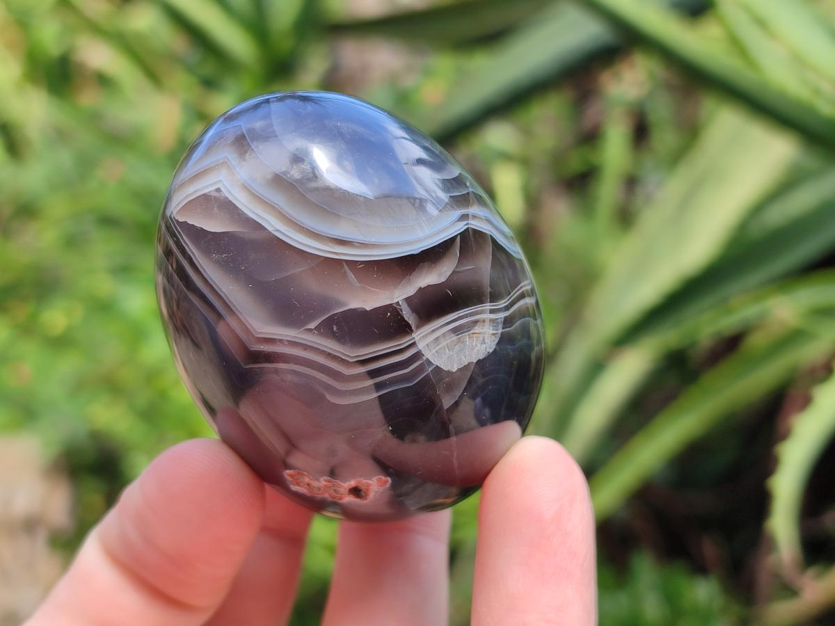 Polished Mixed Red Shashe River Agate Eggs and Free Forms x 20 From Shashe River, Zimbabwe - Toprock Gemstones and Minerals 