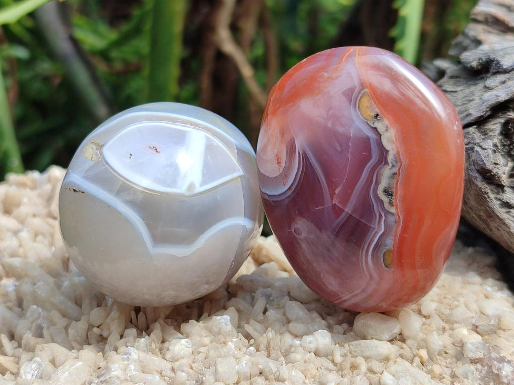 Polished Mixed Red Shashe River Agate Eggs and Free Forms x 20 From Shashe River, Zimbabwe - Toprock Gemstones and Minerals 