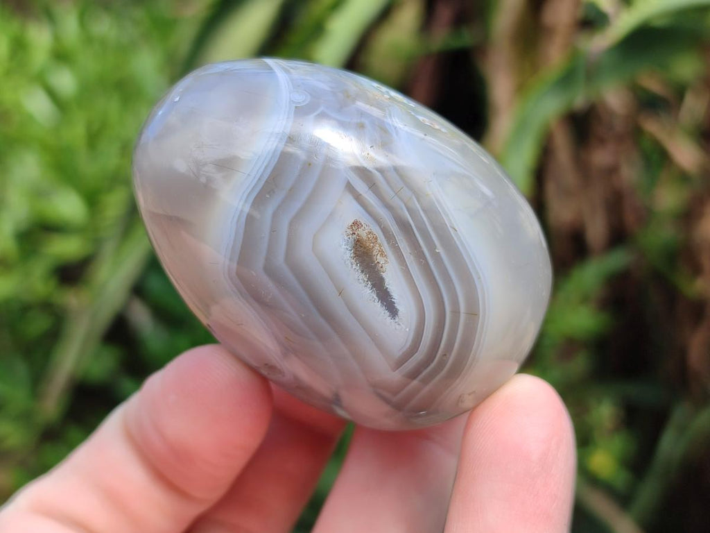 Polished Mixed Red Shashe River Agate Eggs and Free Forms x 20 From Shashe River, Zimbabwe - Toprock Gemstones and Minerals 